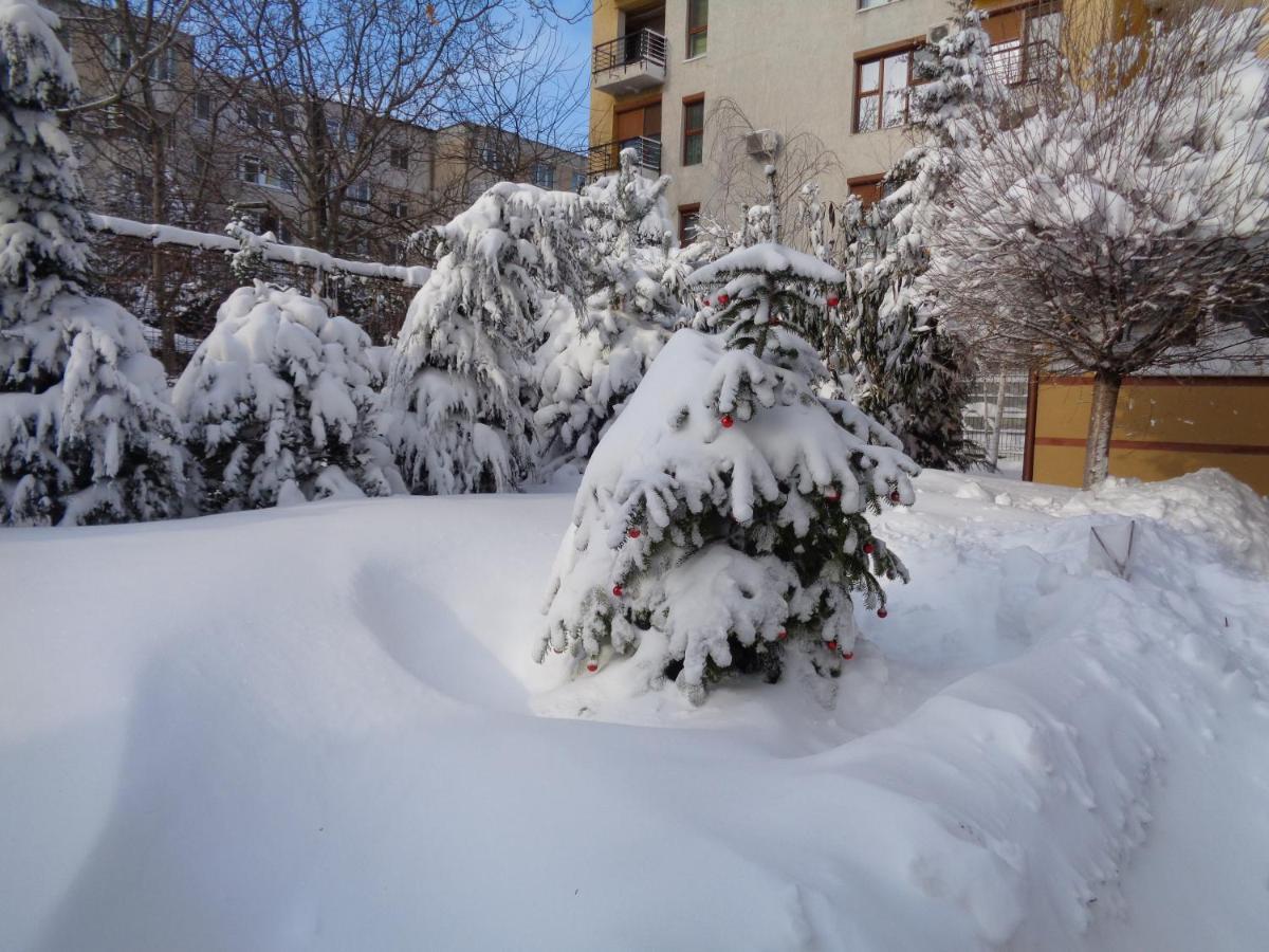 Casa Edwin Bed & Breakfast Constanta Exterior photo